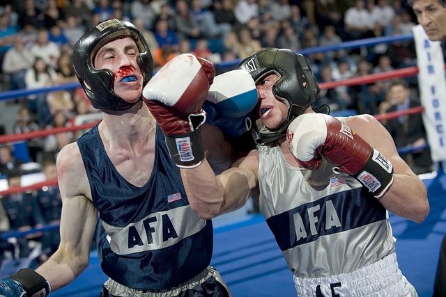 Apuestas en Boxeo 